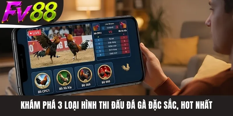 Khám phá 3 loại hình thi đấu đá gà đặc sắc, hot nhất